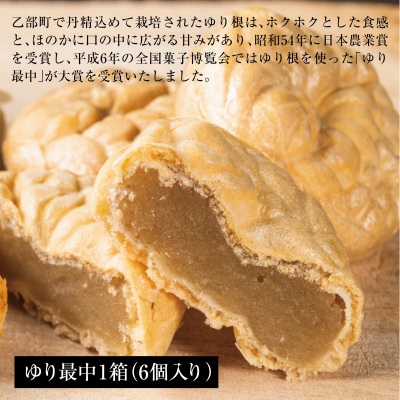 100%乙部町産　高級ゆり根のスイーツ【富貴堂　ゆり最中1箱(6個入)ゆり根のパイ 1箱(5個入)】