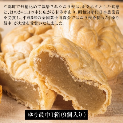 100%乙部町産ゆり根使用【富貴堂　黒千石もなか 1箱(5個入)　ゆり最中 1箱(9個入)】