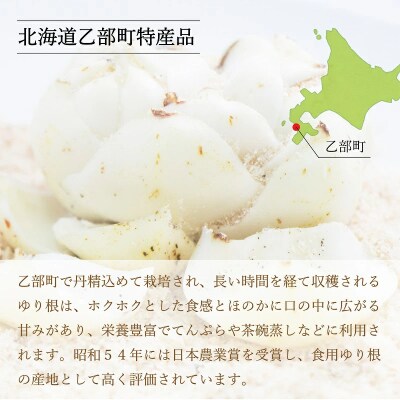 <乙部町特産　ゆり根>しっとり上品な味わいの栄養満点な冬の味覚