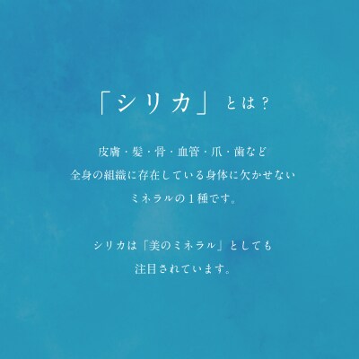 北のハイグレード食品　北海道乙部町の天然シリカ水【Gaivota　1箱(500ml×24本/箱)】