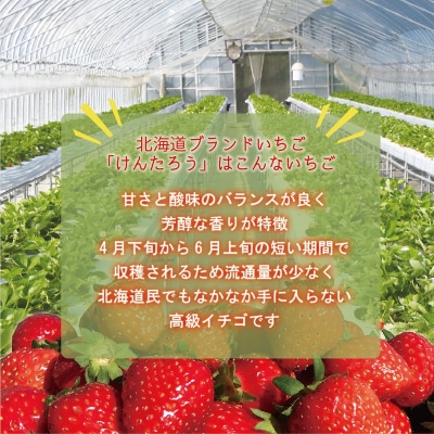 【予約受付中!5月上旬頃発送予定!】<けんたろういちご 12粒>