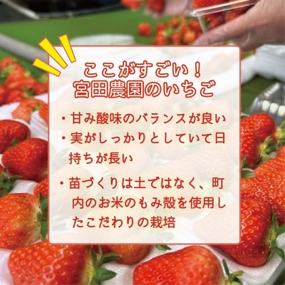 【予約受付中!5月上旬頃発送予定!】<けんたろういちご 12粒>