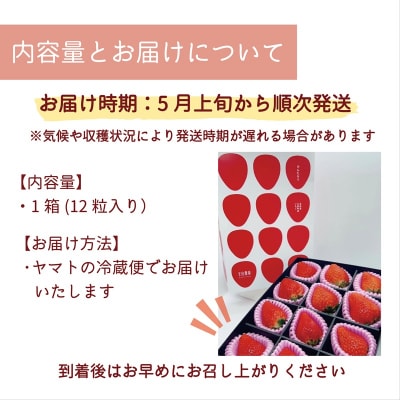 【予約受付中!5月上旬頃発送予定!】<けんたろういちご 12粒>