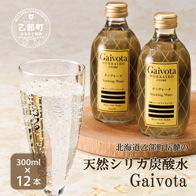 天然シリカ 炭酸水【Gaivota炭酸水 1箱(300ml×12本/箱)】