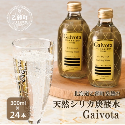天然シリカ 炭酸水【Gaivota炭酸水 2箱(300ml×12本/箱)】