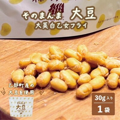 罪悪感ゼロ! 大豆そのままヘルシーおやつ【大莢白乙女フライ :1個】