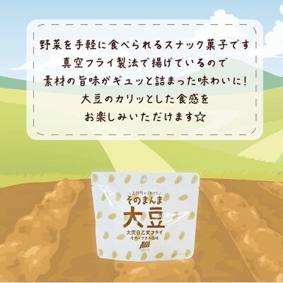 罪悪感ゼロ! 大豆そのままヘルシーおやつ【大莢白乙女フライ :1個】