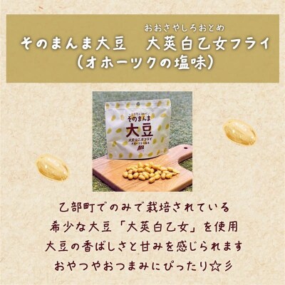 罪悪感ゼロ! 大豆そのままヘルシーおやつ【大莢白乙女フライ :1個】