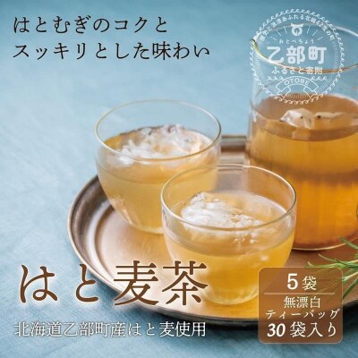 お肌の味方 夏の水分補給にハト麦茶【はと麦茶:5パック】