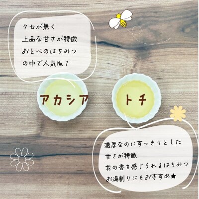 <おとべのはちみつ アカシア・トチ 500g×各1本>