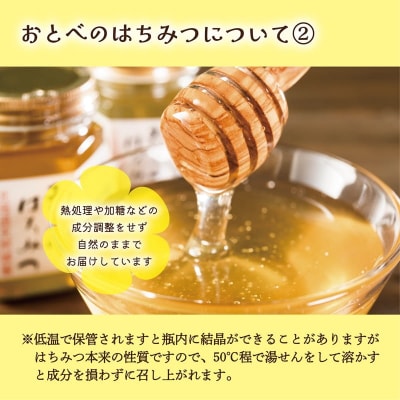 <おとべのはちみつ アカシア・トチ 500g×各1本>