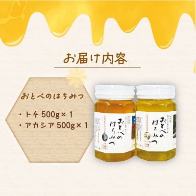 <おとべのはちみつ アカシア・トチ 500g×各1本>
