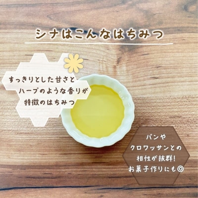 <おとべのはちみつ シナ500g×1本>