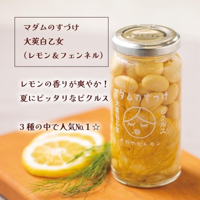 酸味控えめ甘さスッキリ【マダムのすづけ 大莢白乙女 レモン&フェンネル:1本】