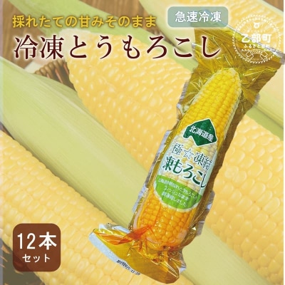甘さにビックリ!鮮度そのまま【ささや農園産 極★凍結とうもろこし:12本】