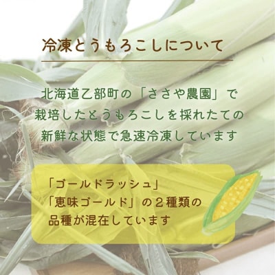 甘さにビックリ!鮮度そのまま【ささや農園産 極★凍結とうもろこし:12本】