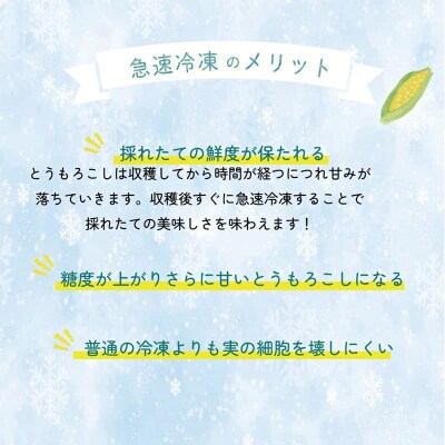 <ささや農園産 極★凍結とうもろこし 12本>