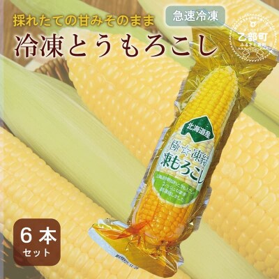 甘さにビックリ!鮮度そのまま【ささや農園産 極★凍結とうもろこし:6本】