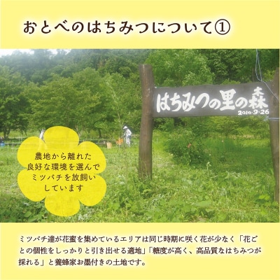 <おとべのはちみつ アカシア500g×1本>