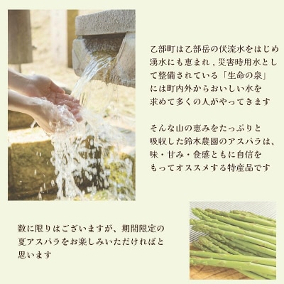 <北海道産 夏採れグリーンアスパラ 2㎏>