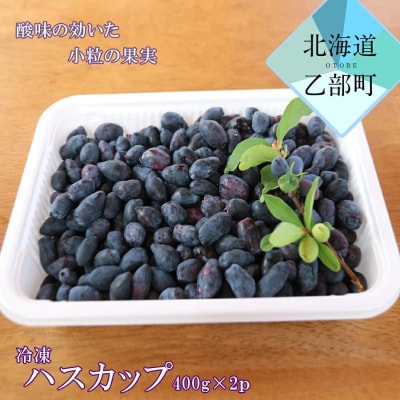 北海道の冷凍果実ハスカップ 天然の甘酸っぱさをお届け【山科農園 冷凍ハスカップ:400g×2パック】