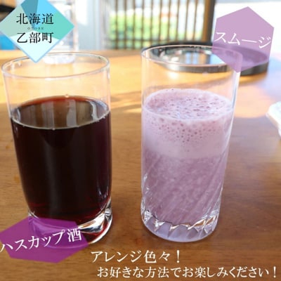 北海道の冷凍果実ハスカップ 天然の甘酸っぱさをお届け【山科農園 冷凍ハスカップ:400g×2パック】