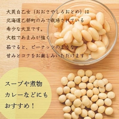 使い方色々!豆乳にもぴったり!【大莢白乙女大豆 1袋】