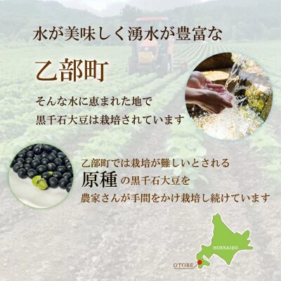 おつまみ、サラダにピッタリ!【マダムのすづけ 黒千石大豆:1本】