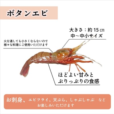 <ボタンエビ・シマエビ(冷蔵) 1kg(各500g)>北海道乙部町産 産地直送