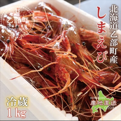 <シマエビ(冷蔵)　1kg>甘く濃厚な味わい! 北海道 道産 国産 乙部町産 しまえび 海老 日本海