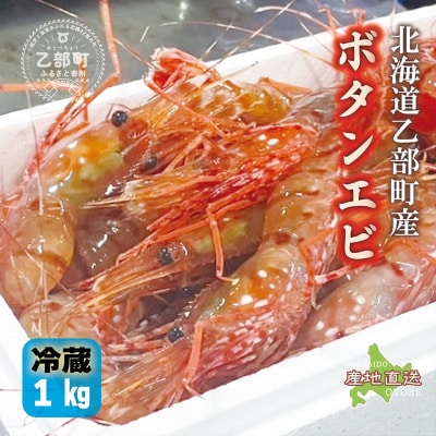 <ボタンエビ(冷蔵)　1kg>甘く豊かな風味! 北海道 道産 国産 乙部町産 牡丹海老 海老 日本海