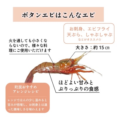 <ボタンエビ(冷蔵)　1kg>甘く豊かな風味! 北海道 道産 国産 乙部町産 牡丹海老 海老 日本海