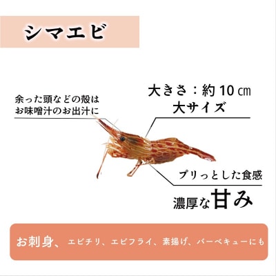 <ボタンエビ・シマエビ(冷凍) 1kg(各500g)>北海道乙部町産 産地直送