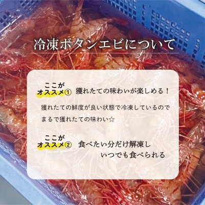<ボタンエビ(冷凍)　1kg>甘く豊かな風味! 北海道 道産 国産 乙部町産 牡丹海老 海老 日本海