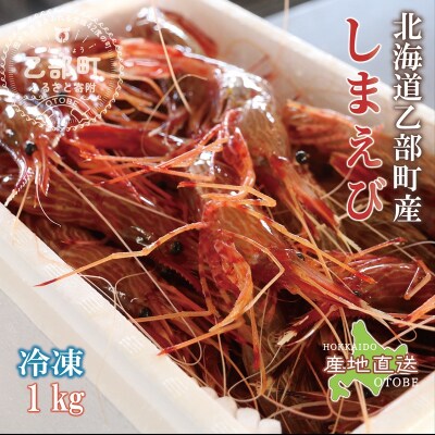 <シマエビ(冷凍)　1kg>甘く濃厚な味わい! 北海道 道産 国産 乙部町産 しまえび 海老 日本海