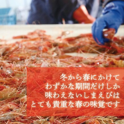 <シマエビ(冷凍)　1kg>甘く濃厚な味わい! 北海道 道産 国産 乙部町産 しまえび 海老 日本海