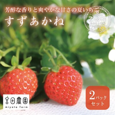 <すずあかね 2パックセット>