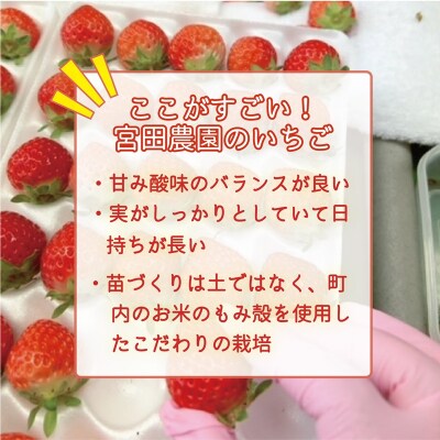 <すずあかね 2パックセット>