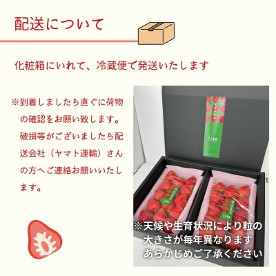 <すずあかね 2パックセット>