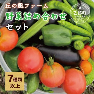 【丘の風ファーム 野菜詰め合わせセット】