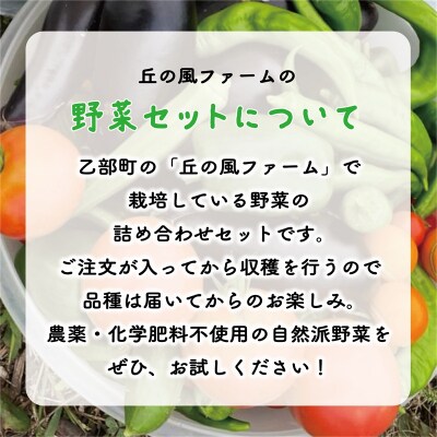 【丘の風ファーム 野菜詰め合わせセット】