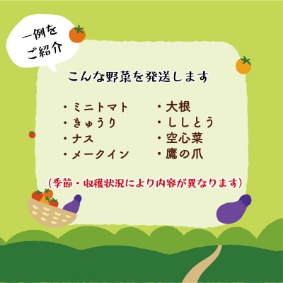 【丘の風ファーム 野菜詰め合わせセット】