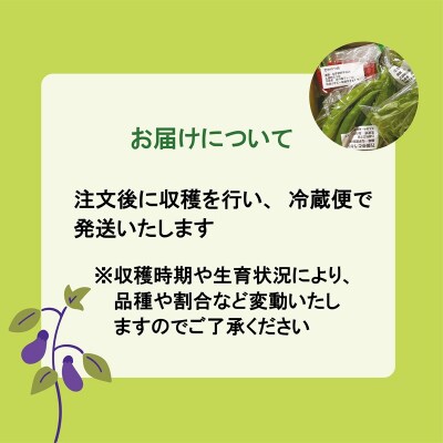 【丘の風ファーム 野菜詰め合わせセット】