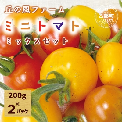 【丘の風ファーム ミニトマトミックス2パックセット】