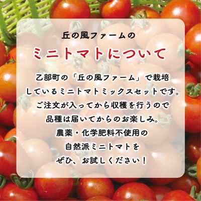 【丘の風ファーム ミニトマトミックス2パックセット】