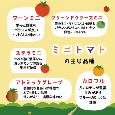 【丘の風ファーム ミニトマトミックス2パックセット】