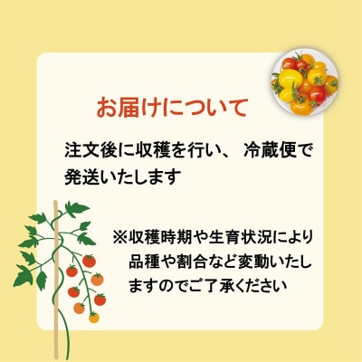 【丘の風ファーム ミニトマトミックス2パックセット】