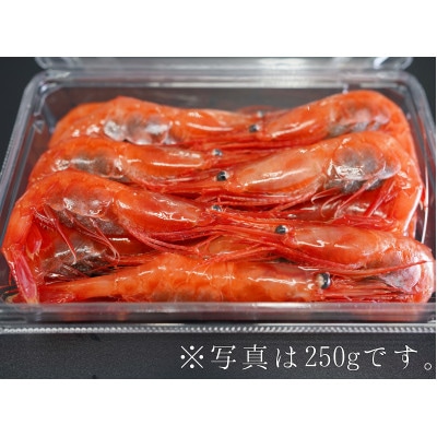 【北海道せたな町産】お刺身甘エビ Lサイズ1kg