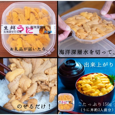 【2025年6月下旬から順次発送】【北海道せたな町産】生鮮生うに(150g×1パック)