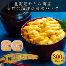 【北海道せたな町産】生鮮生うに(150g&times;2パック)